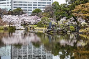 小石川後楽園〈前編〉  Tokyo Art Navigation